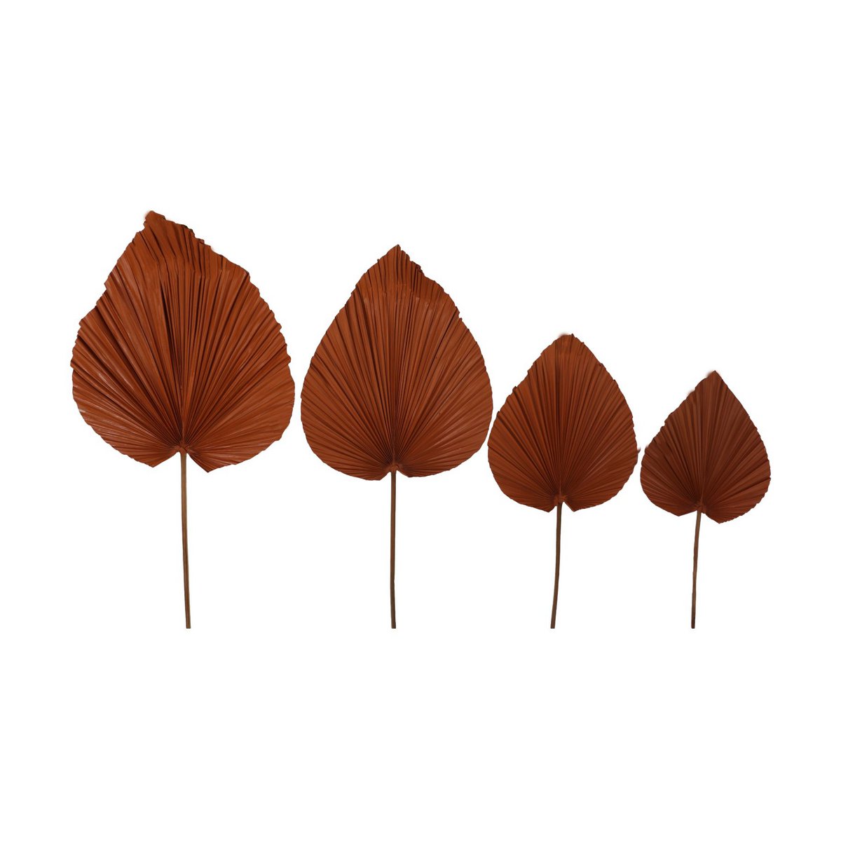 Decoratieve Palmblad Set van 4 - Cognac - Palmblad